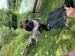 Foto 16.07.19, 13 19 21.jpg