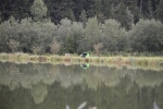 Paarfischen 2017 (25).JPG